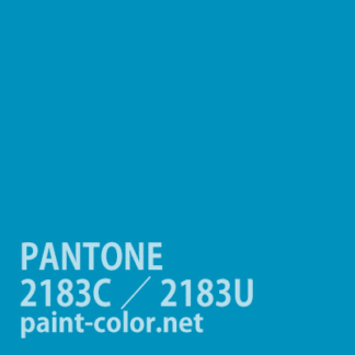 PANTONE2183C／2183U