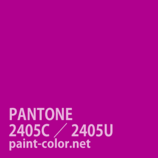 PANTONE2405C／2405U