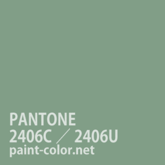 PANTONE2406C／2406U