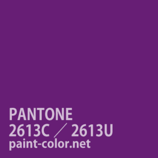 PANTONE2613C／2613U