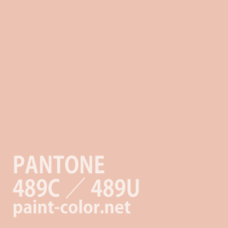 PANTONE489C／489U